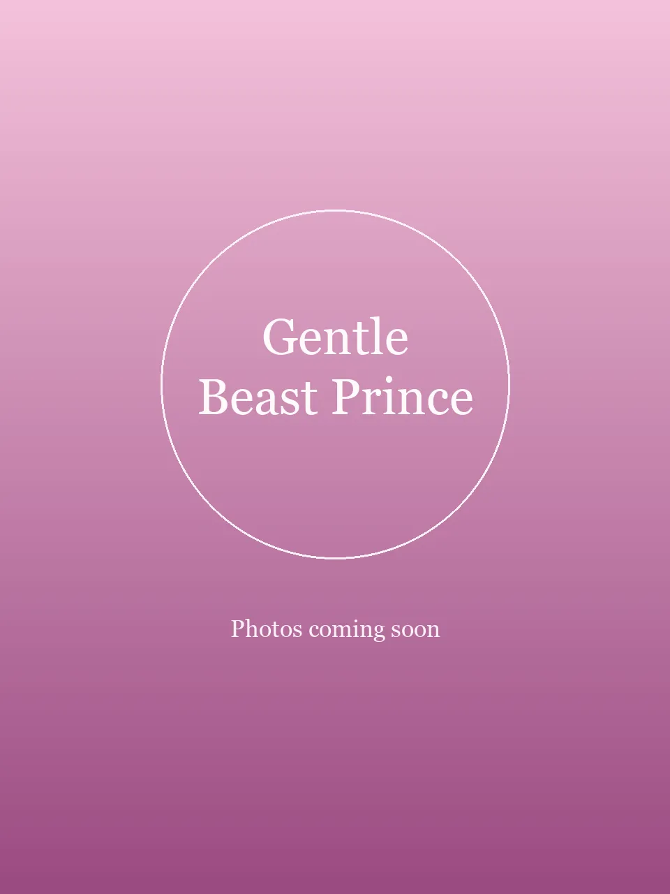 Gentle Beast Prince party character in Chicago
