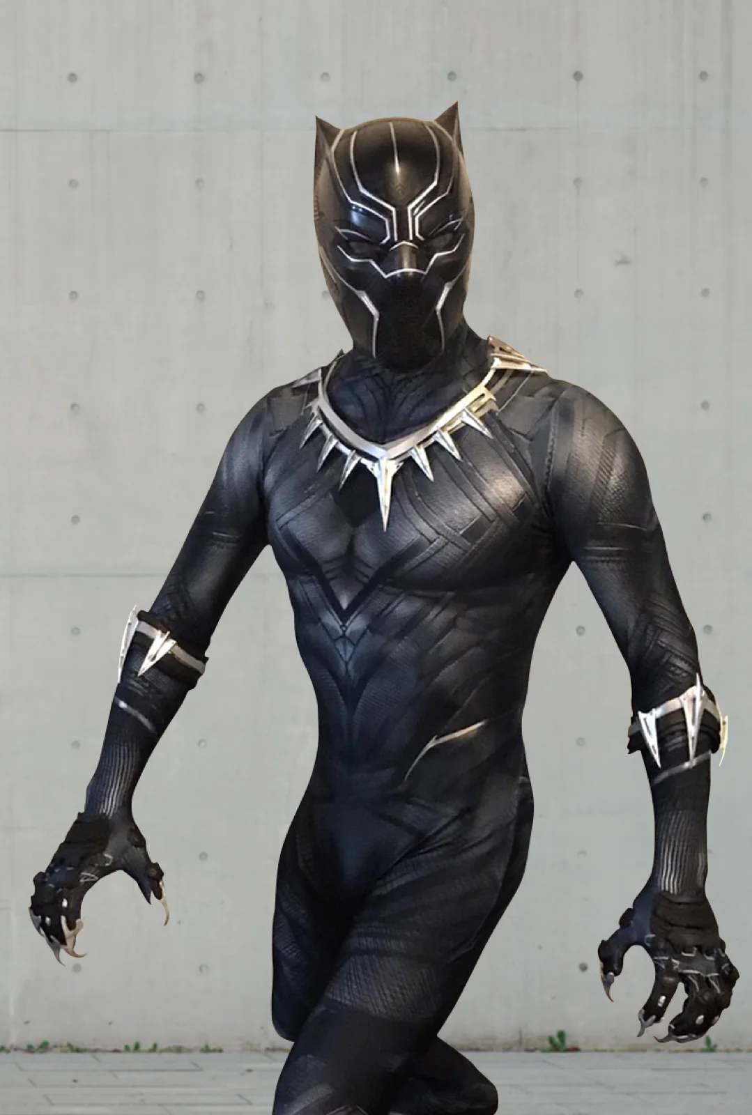Panther Hero party character in Chicago
