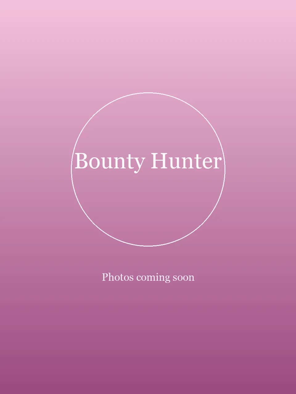 Bounty Hunter party character in Chicago