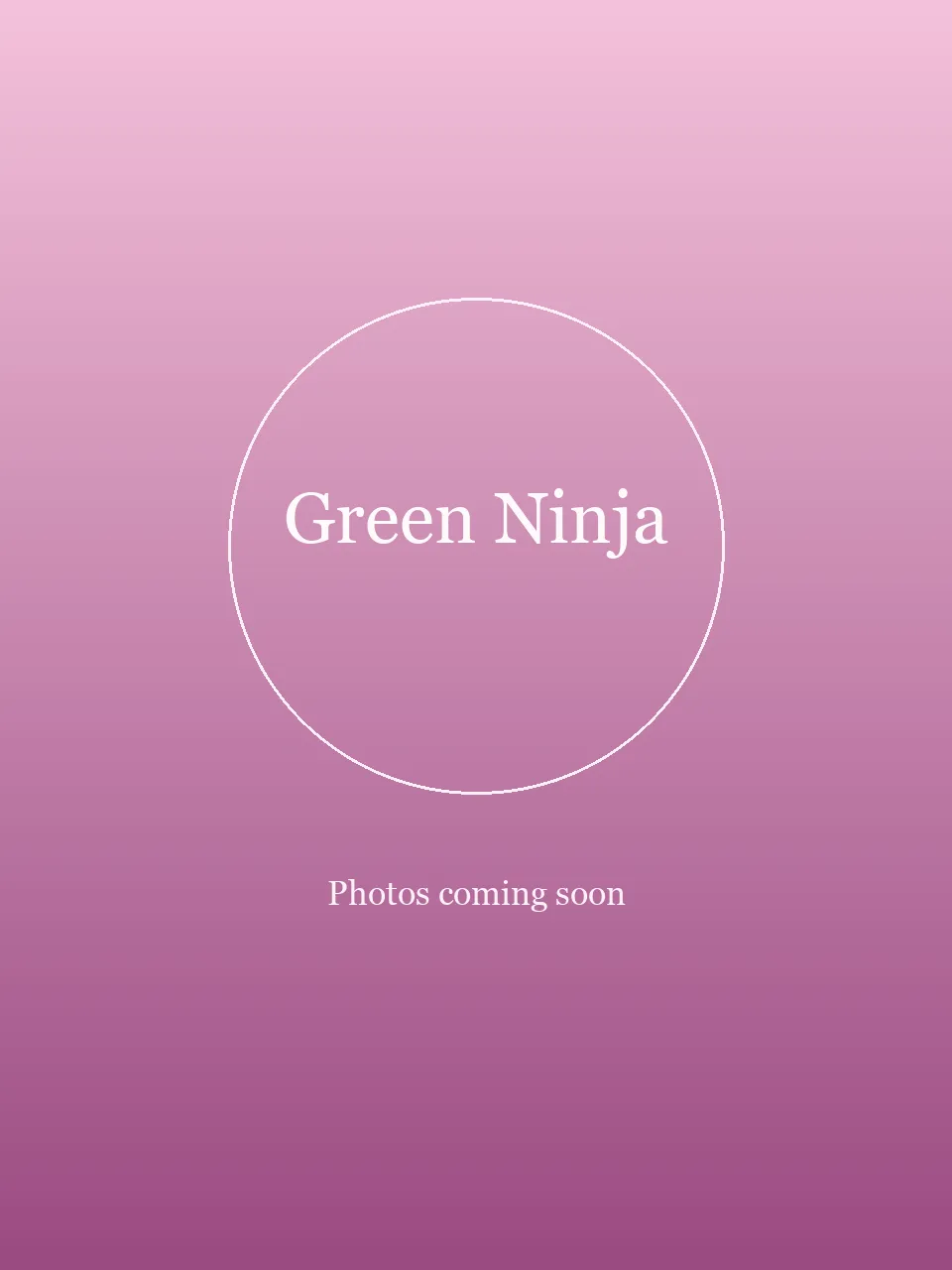Green Ninja party character in Chicago