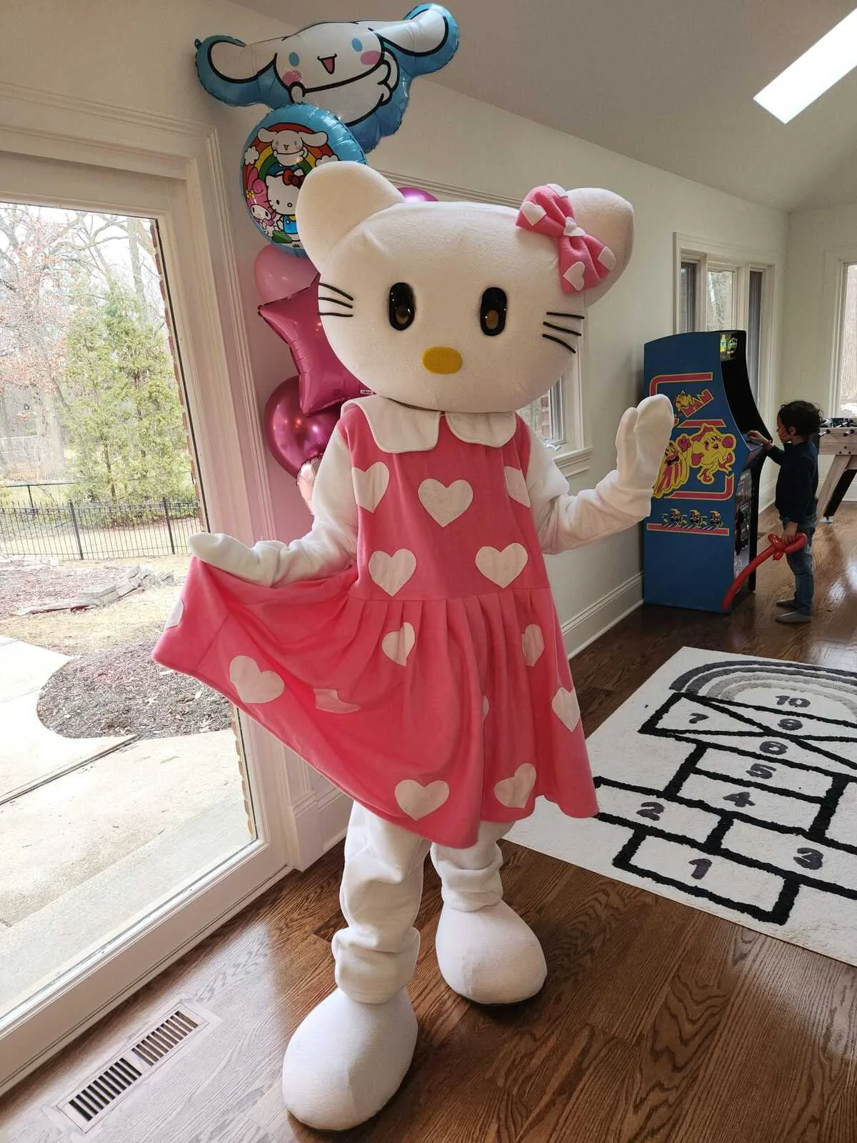 Princess Kitty party character in Chicago