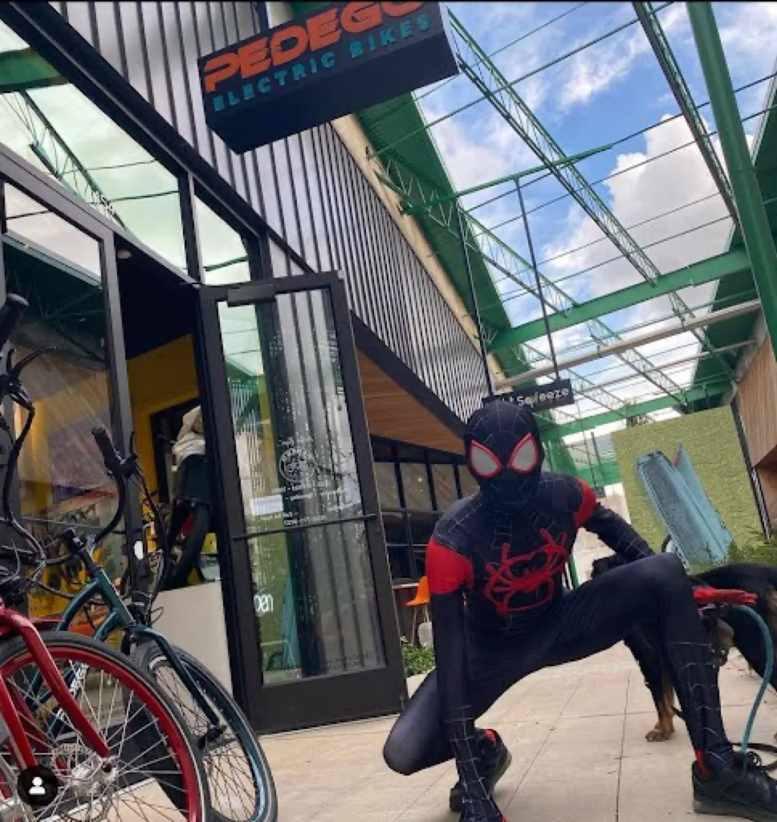 Masked Web Hero party character in Chicago