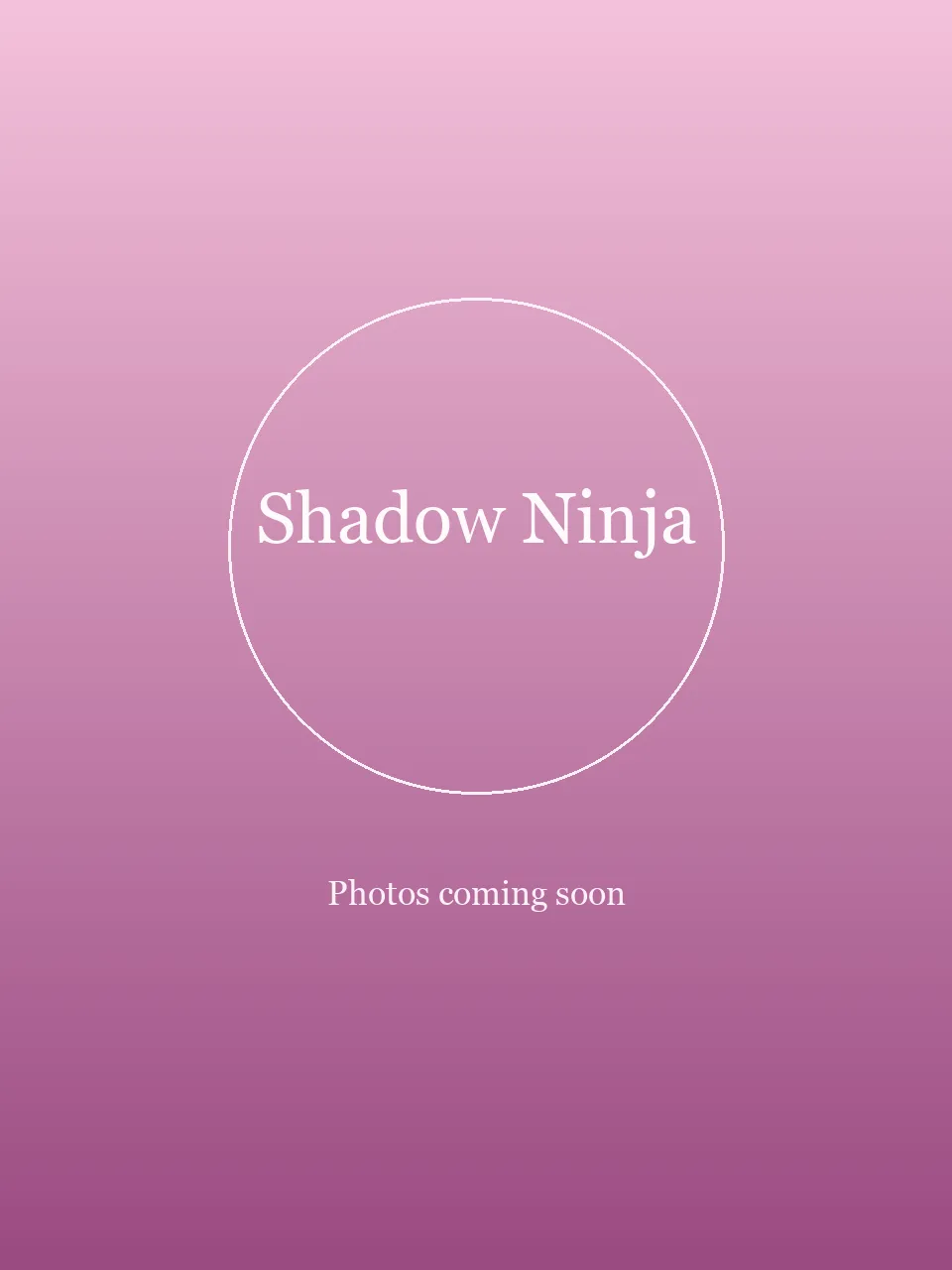 Shadow Ninja party character in Chicago