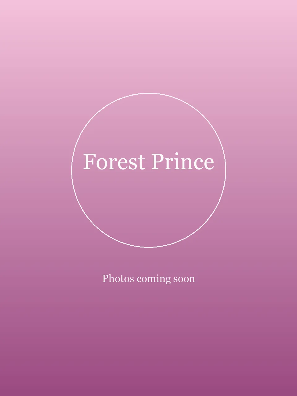 Forest Prince party character in Chicago
