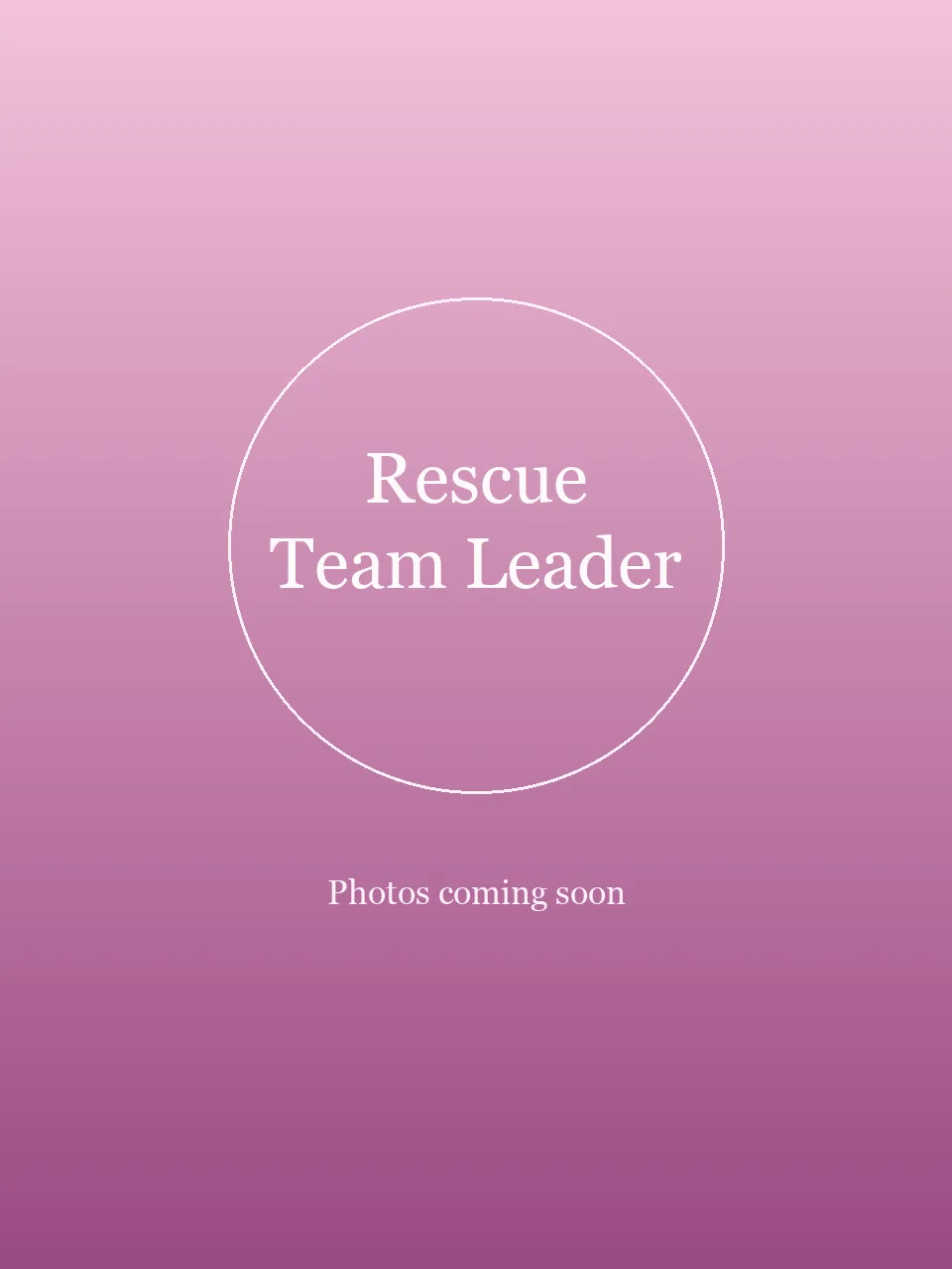 Rescue Team Leader party character in Chicago