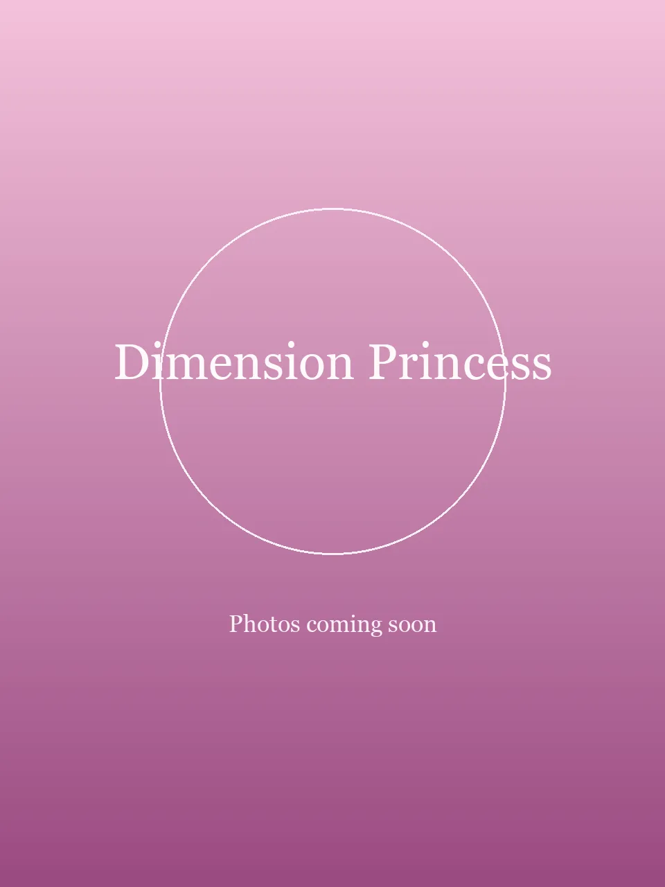 Dimension Princess party character in Chicago